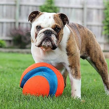 Chuckit! Kick Fetch Increased Visibility Dog Toy Throw or Kick Toy for Dogs, Large, 20 cm