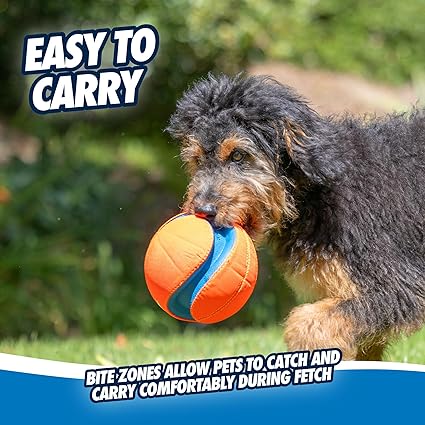 Chuckit! Kick Fetch Increased Visibility Dog Toy Throw or Kick Toy for Dogs, Large, 20 cm
