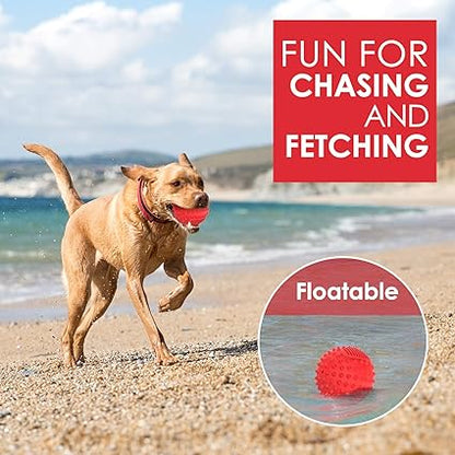 Indestructible Squeaky Dog Ball for Aggressive Chewers, 10cm Durable Rubber Chew Toy, Float for Big/Medium Dogs