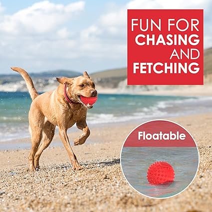 Indestructible Squeaky Dog Ball for Aggressive Chewers, 10cm Durable Rubber Chew Toy, Float for Big/Medium Dogs