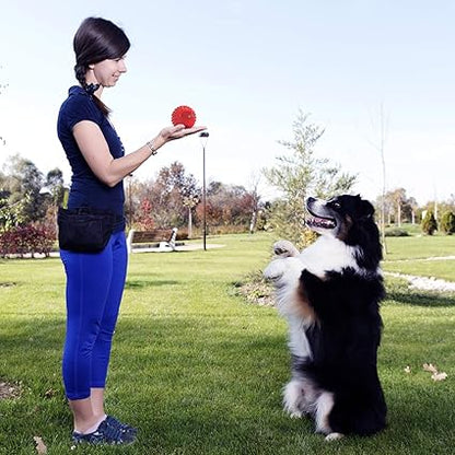 Indestructible Squeaky Dog Ball for Aggressive Chewers, 10cm Durable Rubber Chew Toy, Float for Big/Medium Dogs
